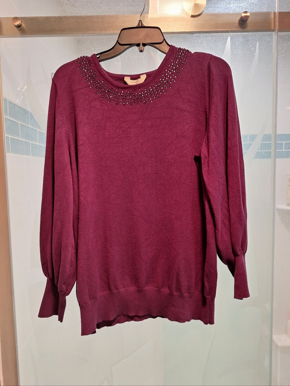 Terra & Sky Beaded Neckline Sweater in Purple Never Worn
